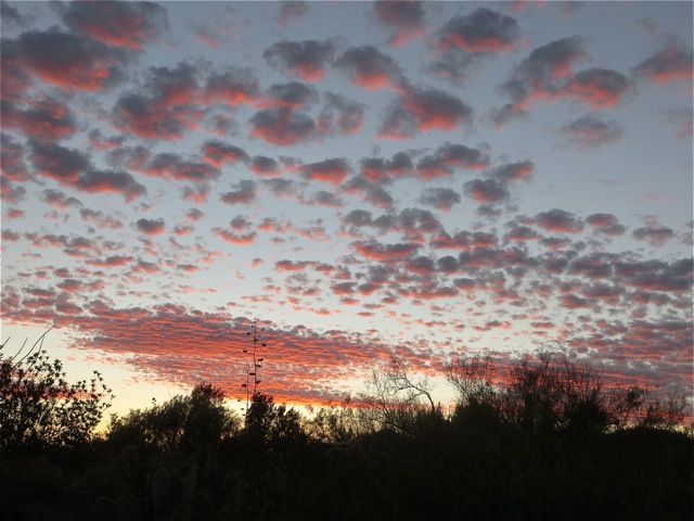 Beautiful Arizona Sunsets